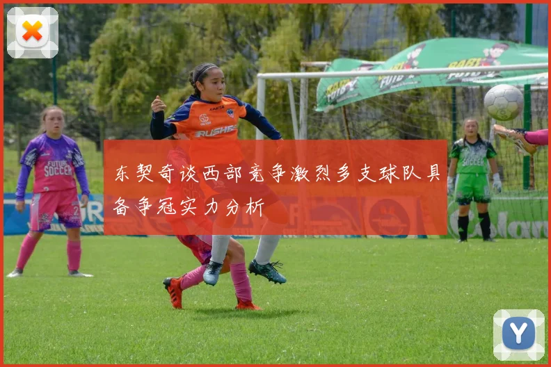 东契奇谈西部竞争激烈多支球队具备争冠实力分析