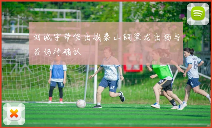 刘诚宇带伤出战泰山铜梁龙出场与否仍待确认