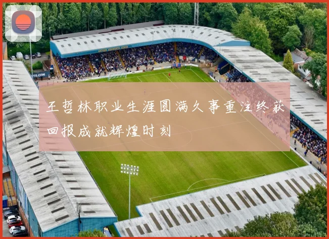 王哲林职业生涯圆满久事重注终获回报成就辉煌时刻