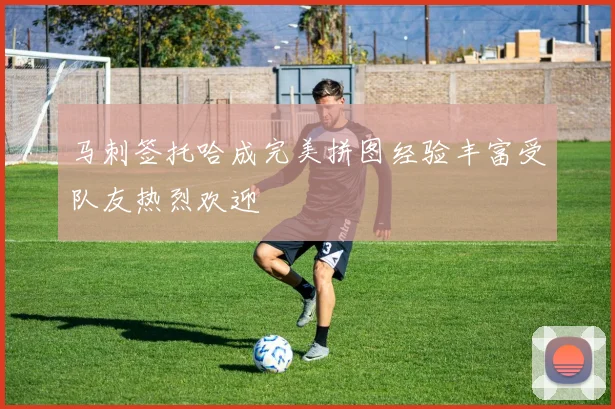 马刺签托哈成完美拼图经验丰富受队友热烈欢迎
